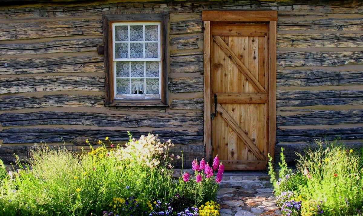Springtime at Knudson Cabin
